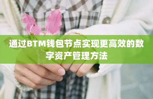 通过BTM钱包节点实现更高效的数字资产管理方法