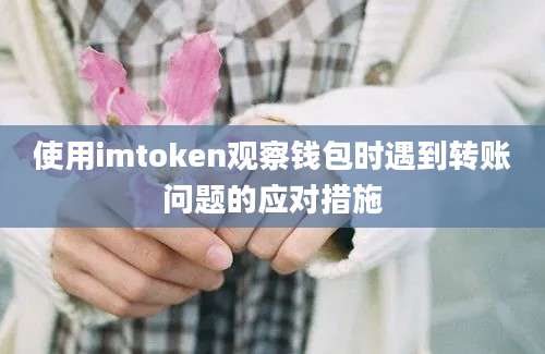 使用imtoken观察钱包时遇到转账问题的应对措施