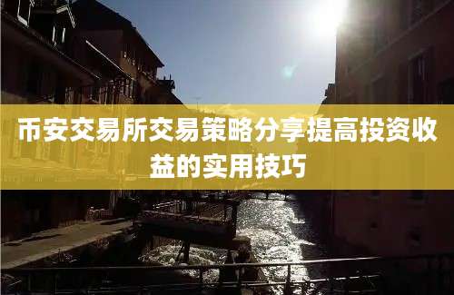 币安交易所交易策略分享提高投资收益的实用技巧