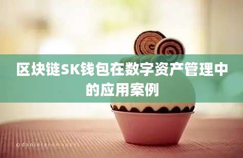 区块链SK钱包在数字资产管理中的应用案例