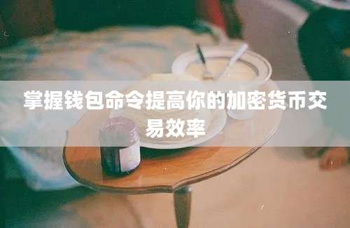 掌握钱包命令提高你的加密货币交易效率