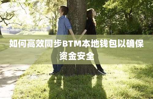 如何高效同步BTM本地钱包以确保资金安全