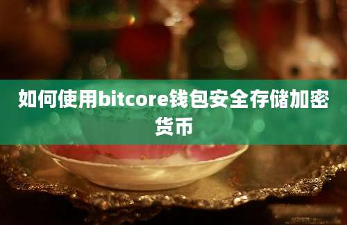 如何使用bitcore钱包安全存储加密货币