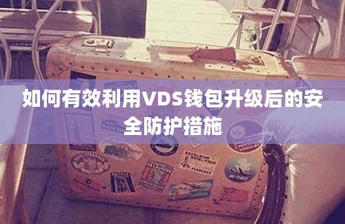 如何有效利用VDS钱包升级后的安全防护措施