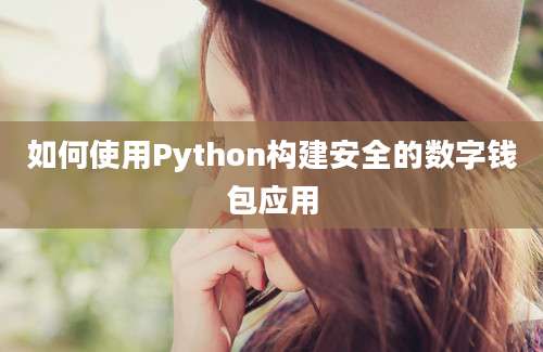 如何使用Python构建安全的数字钱包应用