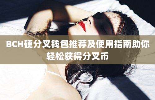 BCH硬分叉钱包推荐及使用指南助你轻松获得分叉币