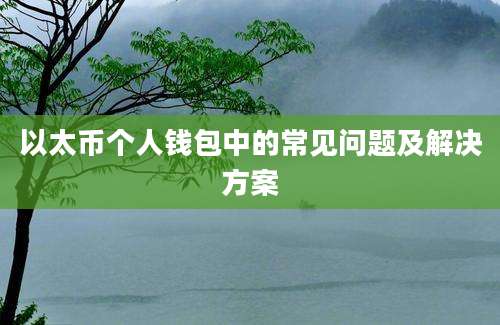 以太币个人钱包中的常见问题及解决方案