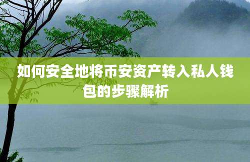 如何安全地将币安资产转入私人钱包的步骤解析