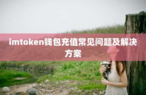 imtoken钱包充值常见问题及解决方案