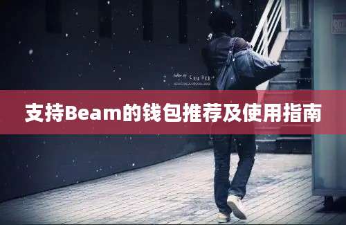 支持Beam的钱包推荐及使用指南