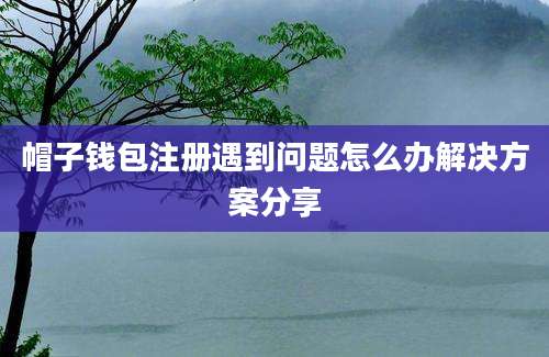 帽子钱包注册遇到问题怎么办解决方案分享