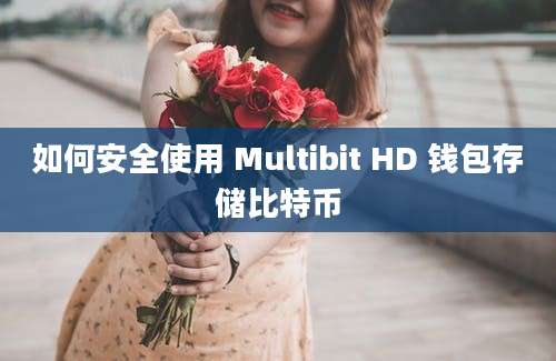 如何安全使用 Multibit HD 钱包存储比特币