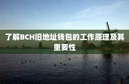 了解BCH旧地址钱包的工作原理及其重要性