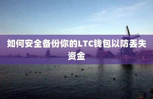 如何安全备份你的LTC钱包以防丢失资金