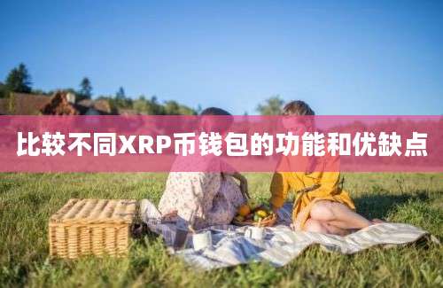 比较不同XRP币钱包的功能和优缺点