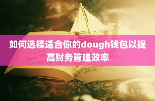 如何选择适合你的dough钱包以提高财务管理效率