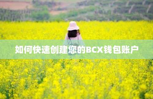 如何快速创建您的BCX钱包账户