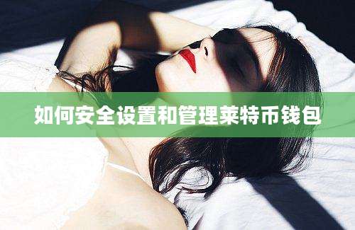 如何安全设置和管理莱特币钱包