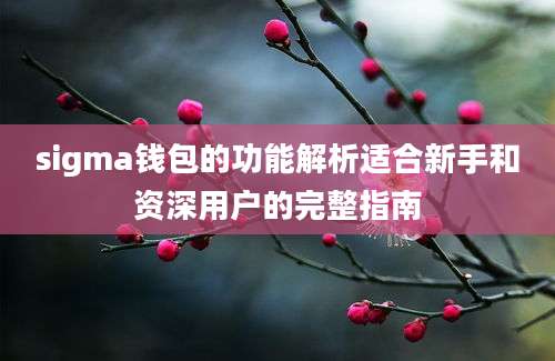 sigma钱包的功能解析适合新手和资深用户的完整指南