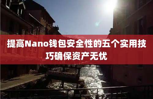 提高Nano钱包安全性的五个实用技巧确保资产无忧