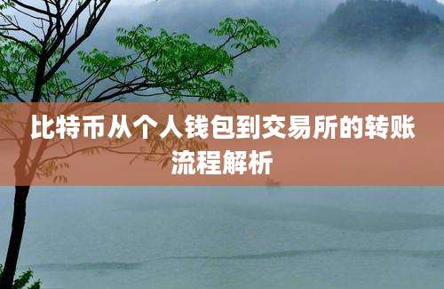 比特币从个人钱包到交易所的转账流程解析