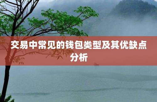 交易中常见的钱包类型及其优缺点分析