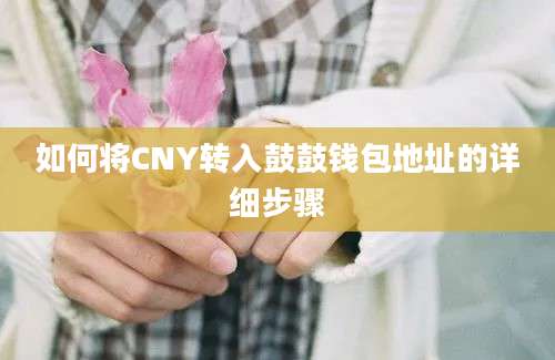 如何将CNY转入鼓鼓钱包地址的详细步骤