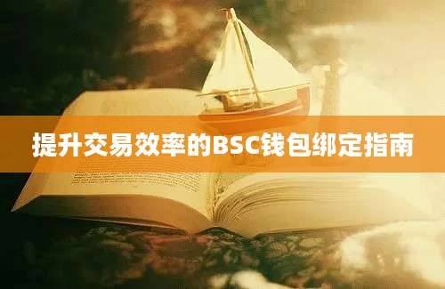 提升交易效率的BSC钱包绑定指南