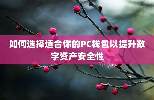 如何选择适合你的PC钱包以提升数字资产安全性