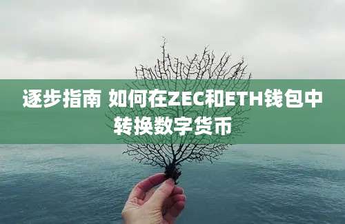 逐步指南 如何在ZEC和ETH钱包中转换数字货币