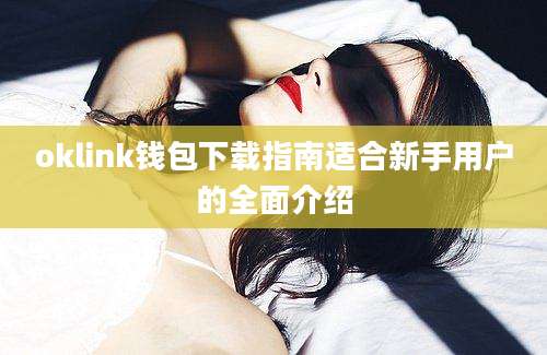 oklink钱包下载指南适合新手用户的全面介绍