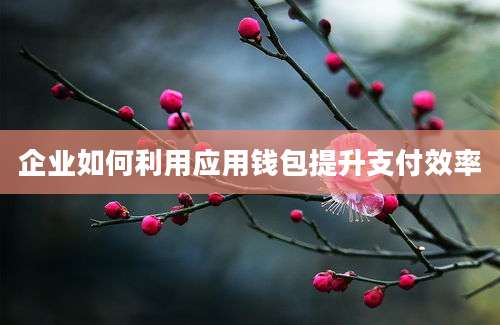 企业如何利用应用钱包提升支付效率