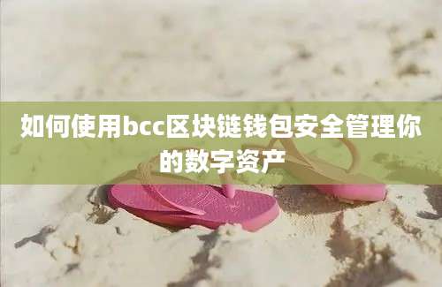 如何使用bcc区块链钱包安全管理你的数字资产