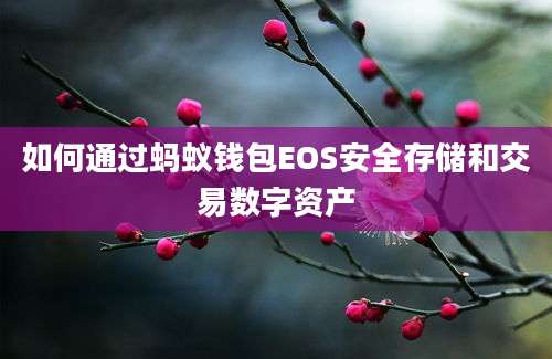 如何通过蚂蚁钱包EOS安全存储和交易数字资产