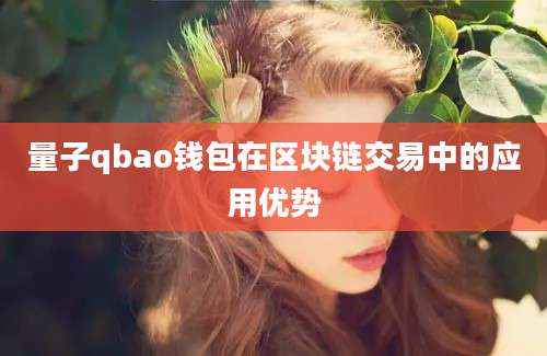 量子qbao钱包在区块链交易中的应用优势