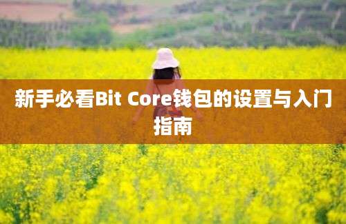 新手必看Bit Core钱包的设置与入门指南