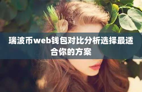 瑞波币web钱包对比分析选择最适合你的方案