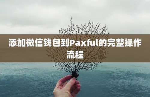 添加微信钱包到Paxful的完整操作流程