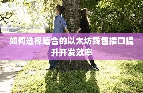 如何选择适合的以太坊钱包接口提升开发效率