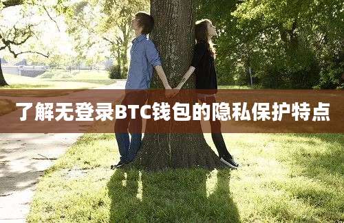 了解无登录BTC钱包的隐私保护特点