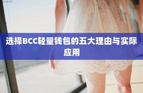 选择BCC轻量钱包的五大理由与实际应用