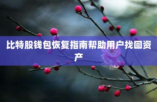 比特股钱包恢复指南帮助用户找回资产