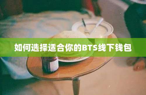 如何选择适合你的BTS线下钱包