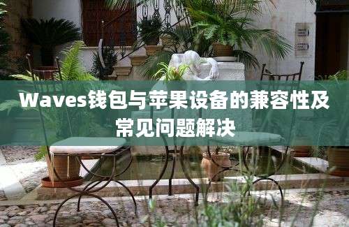 Waves钱包与苹果设备的兼容性及常见问题解决