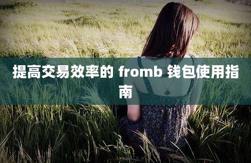 提高交易效率的 fromb 钱包使用指南