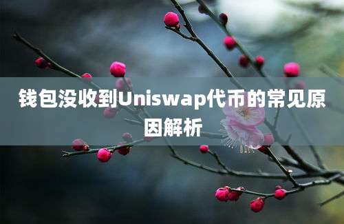 钱包没收到Uniswap代币的常见原因解析