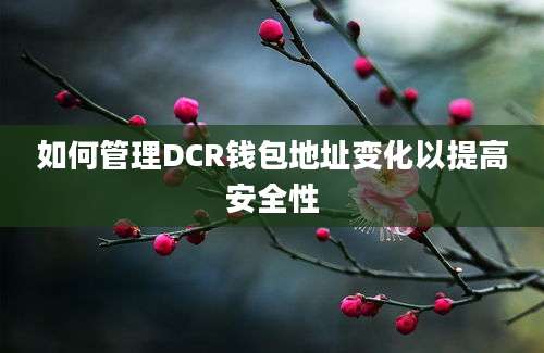 如何管理DCR钱包地址变化以提高安全性