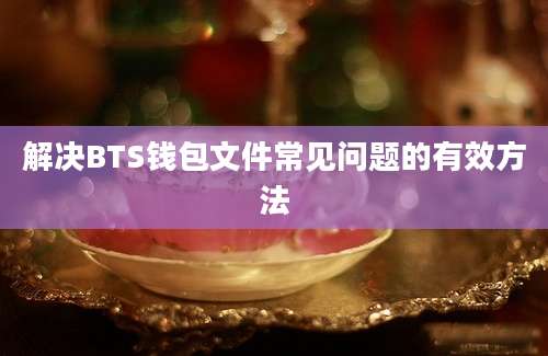 解决BTS钱包文件常见问题的有效方法