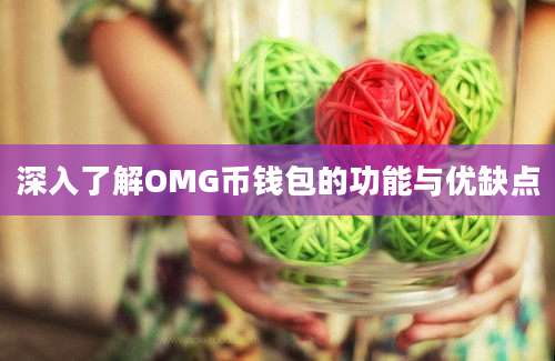 深入了解OMG币钱包的功能与优缺点