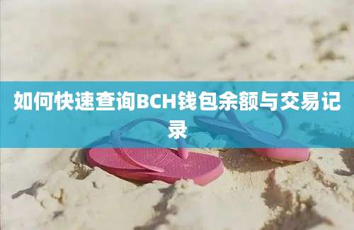 如何快速查询BCH钱包余额与交易记录